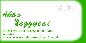 akos meggyesi business card